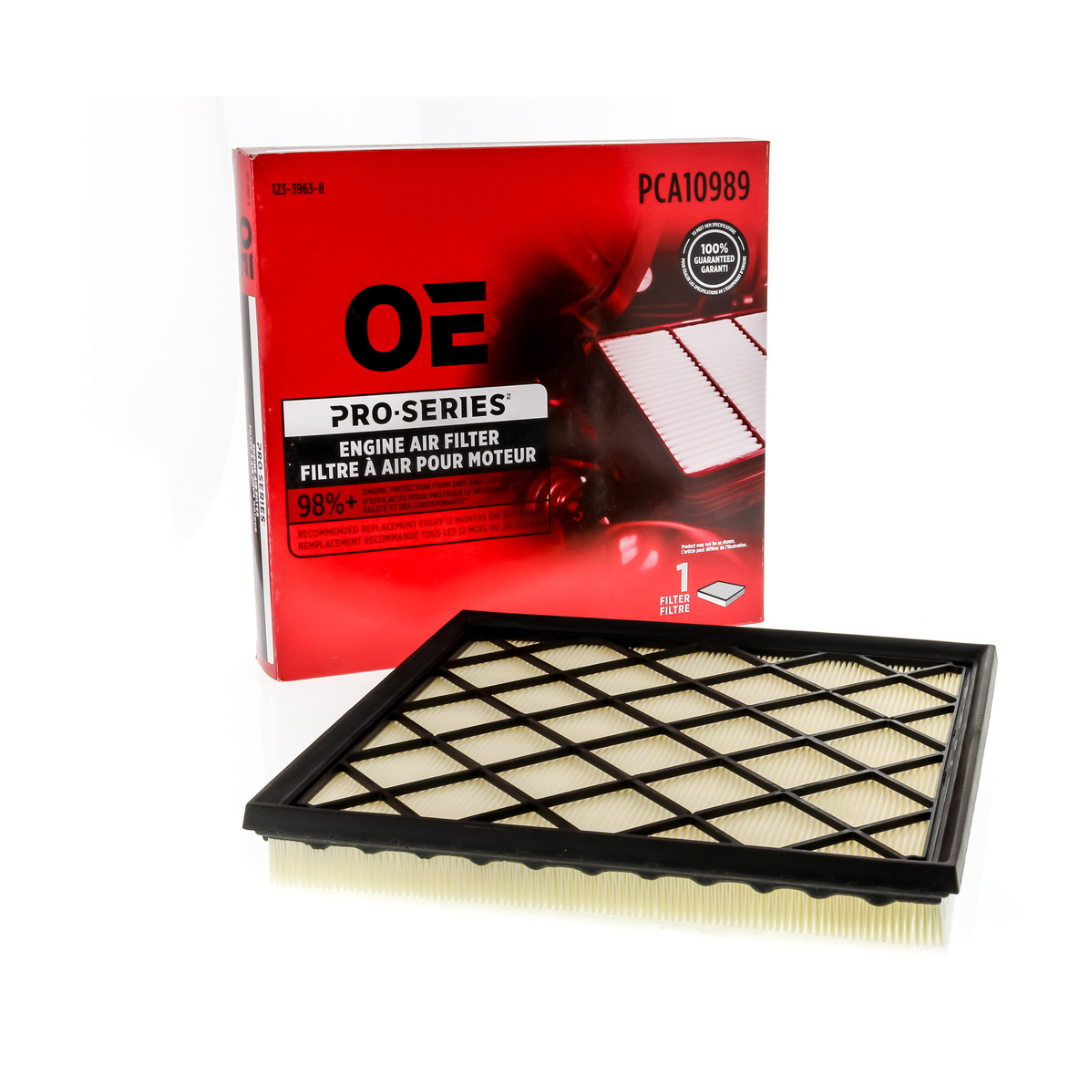 PCA10989 AIR FILTER — Partsource