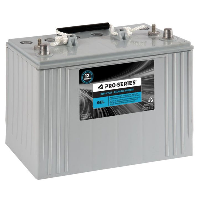 MP31GEL Pro-Series Gel Group Size 31 Battery