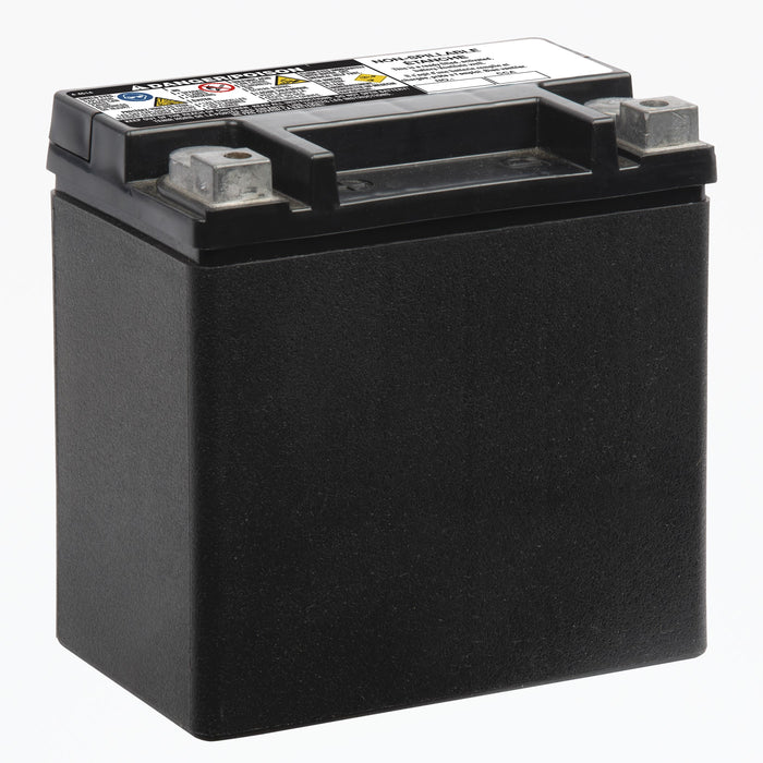 MP-AUX14 Pro-Series AGM Group Size 400 Auxiliary Battery, 200 CCA