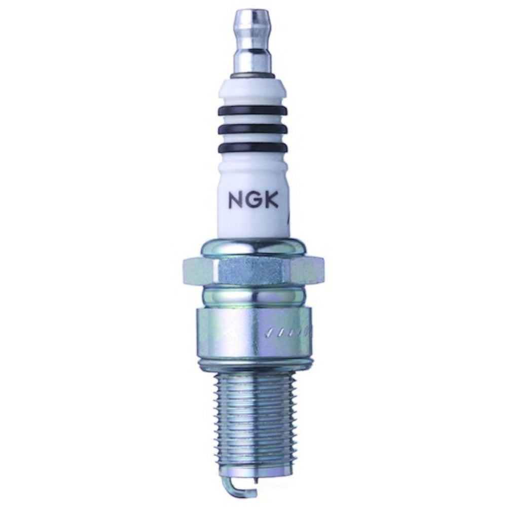 3981 NGK Spring/Summer Spark Plug, 1-pk