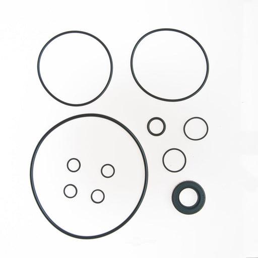 8401491 Sunsong Power Steering Repair Kit - Pump Seal Kit