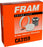 CA3159 FRAM Extra Guard Air Filter